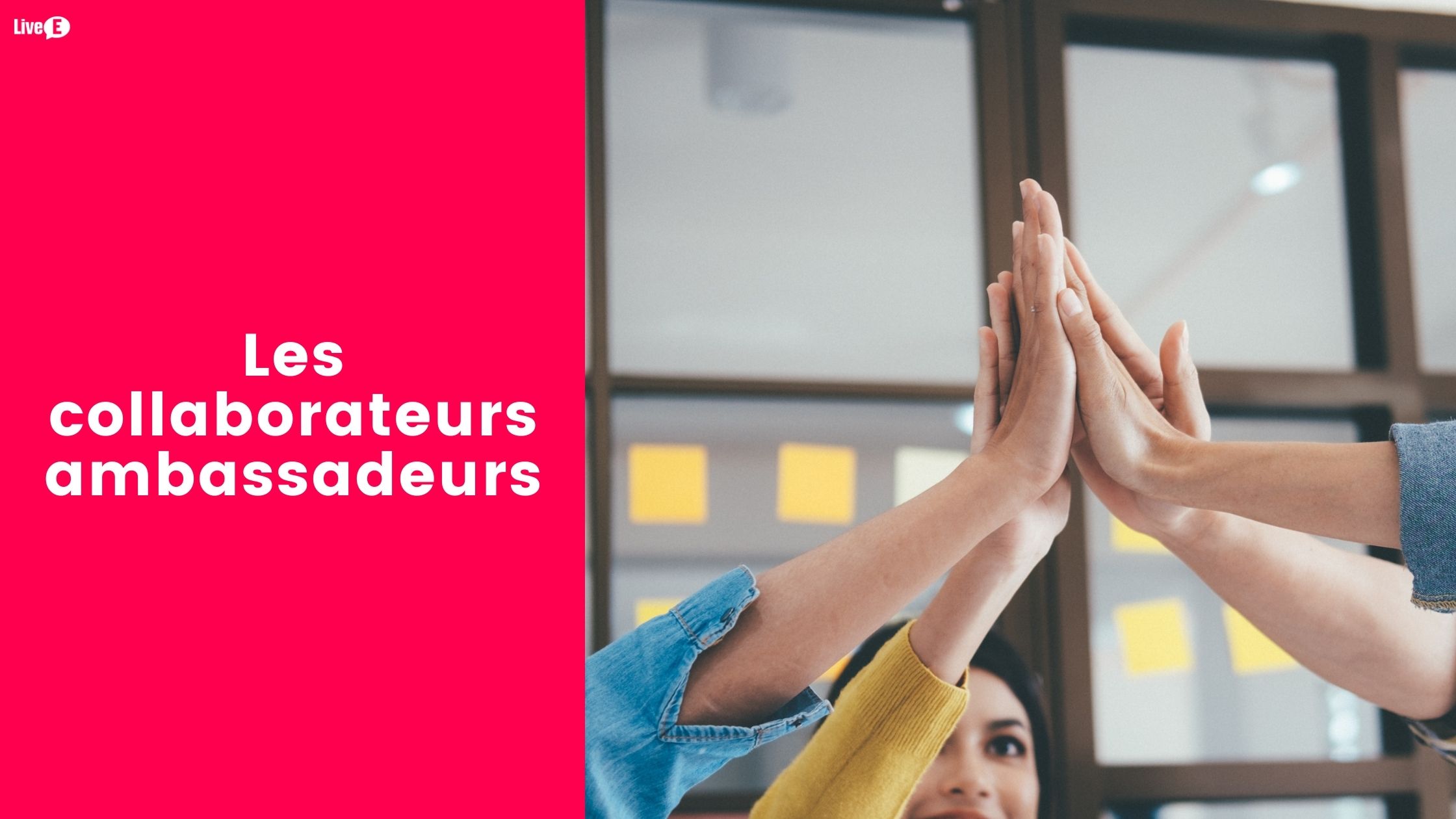 collaborateurs ambassadeurs